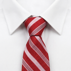 Ascoli Corbata estilo camisa