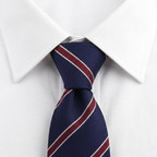 Guastalla Corbata estilo camisa