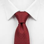 Faenza Corbata estilo camisa